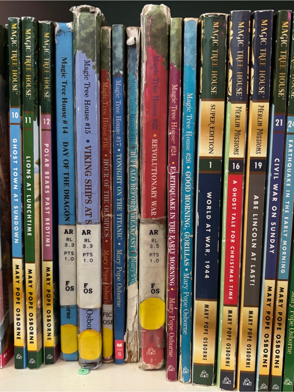 Magic Tree House Kids Book Set - Multi-Color